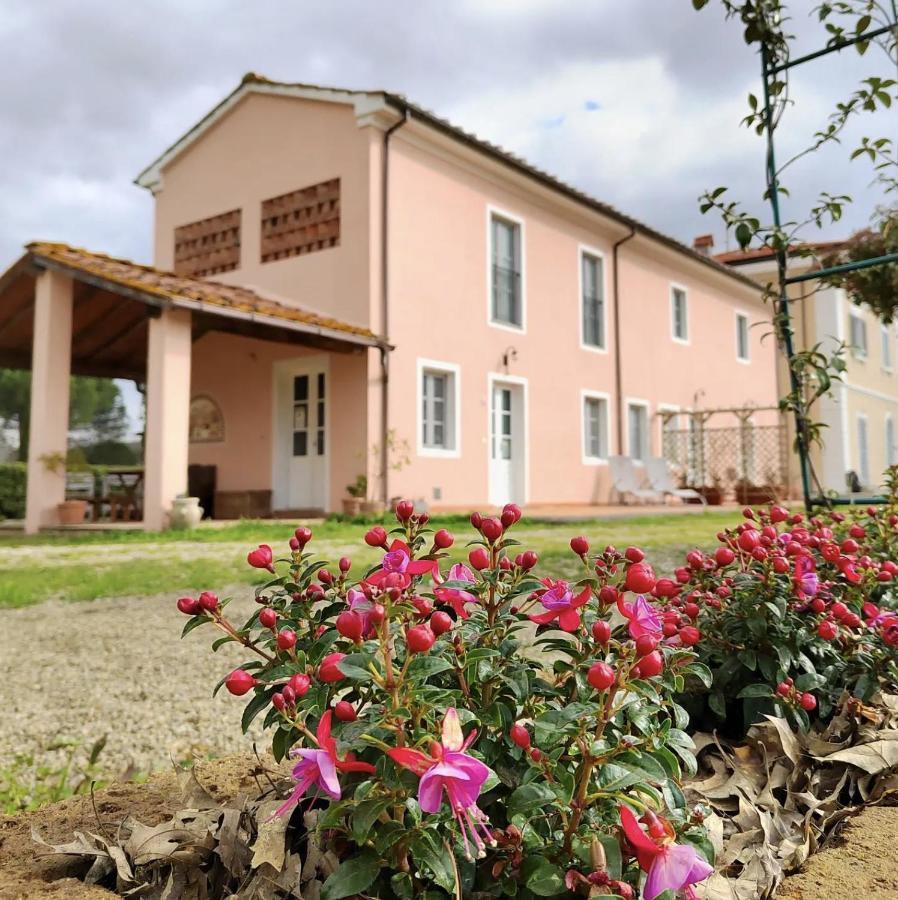 Villa Donnola: Casa Rosmarino فيوتشيتشيو المظهر الخارجي الصورة